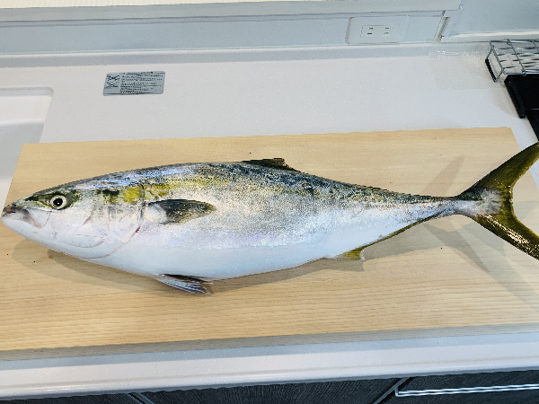 大きな魚を捌ける釣り用の大きいサイズのまな板