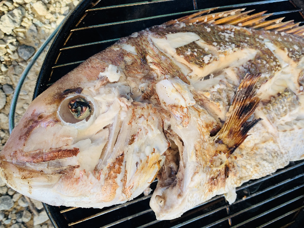 釣った真鯛を丸焼きして食べる