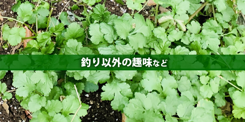 釣り以外の趣味など