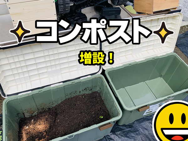 ミミズコンポストのコツを掴んだ！