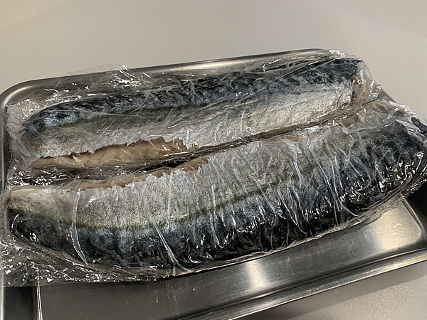 釣った鯖で締め鯖を作る