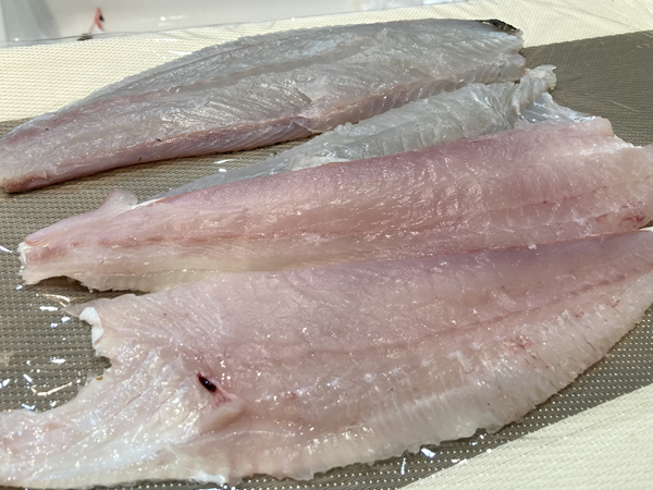 ヒラメを捌いて刺身にする
