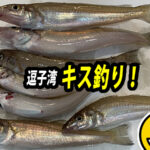 逗子湾でカヤックに乗って、キス釣りを楽しむ！