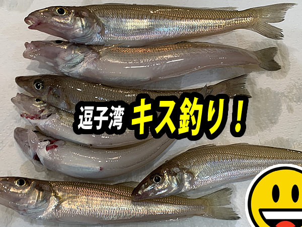 逗子湾でカヤックに乗って、キス釣りを楽しむ！
