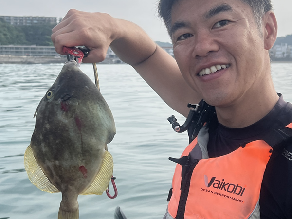 逗子湾でカワハギも釣れる