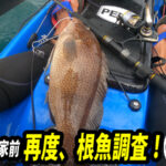カヤックから根魚狙いの釣り
