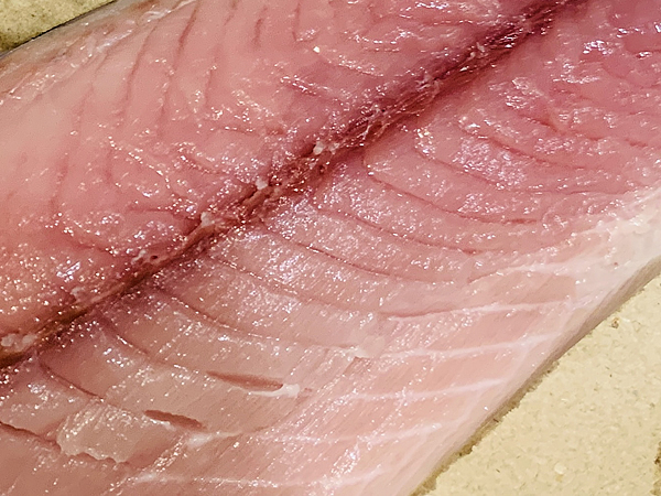 ゴマ鯖の身の色がキレイだった