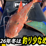 今年の冬は釣りの回数が少な目