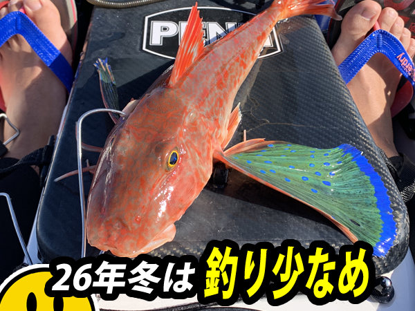 今年の冬は釣りの回数が少な目