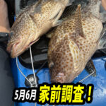 5月6月の釣りの様子