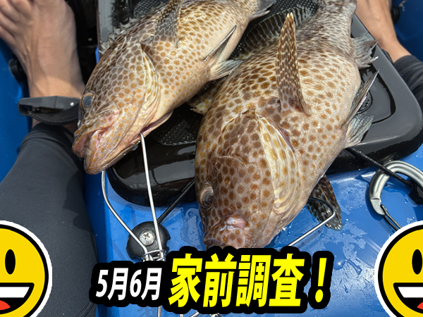 5月6月の釣りの様子