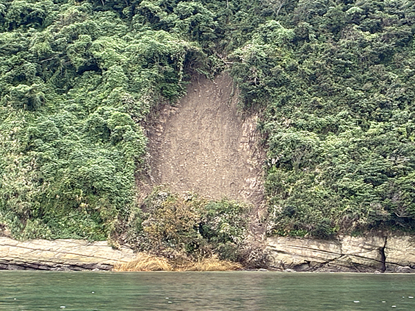 斜面から土砂が崩れ落ちている様子。逗子湾