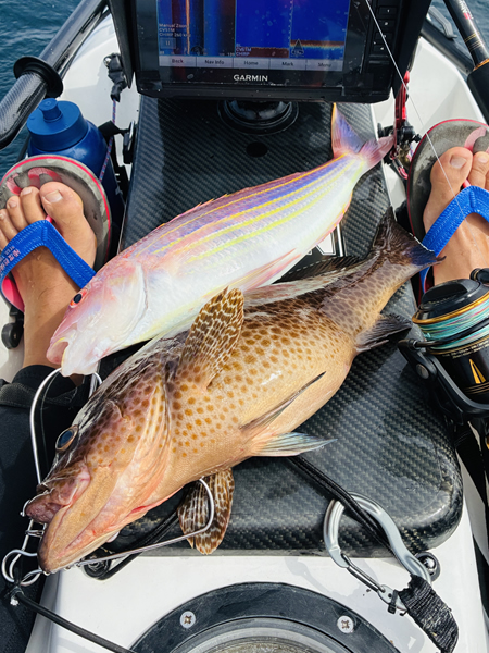 オオモンハタとイトヨリダイが釣れた